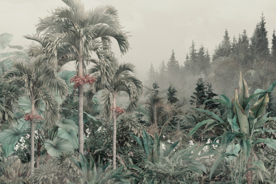 Fototapeta z zielonym lasem Bujna Roślinność We Mgle do sypialni - zdjęcie numer 2