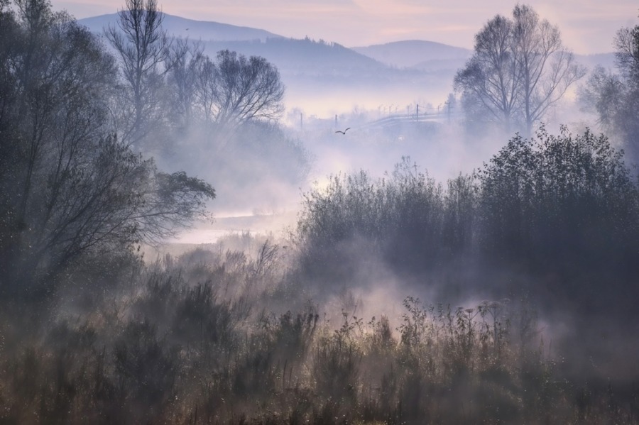 Fototapeta z górskim krajobrazem Ciepła Leśna Mgła do salonu - zdjęcie numer 2