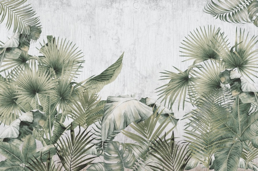 Fototapeta z egzotycznymi roślinami w szarości Liście Palmowe Na Szarym Tle - zdjęcie numer 2