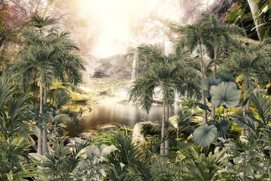 Fototapeta z egzotycznym krajobrazem we mgle Magiczny Wodospad w Tropikalnej Dżungli - zdjęcie numer 2
