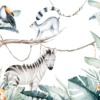Fototapeta Mała Zebra - obrazek 2