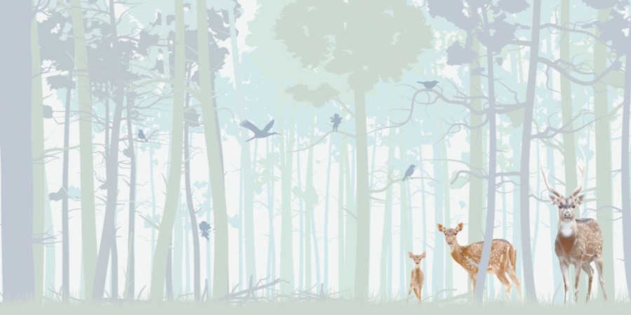 Fototapeta z jeleniami w lesie Rodzina Jeleni do pokoju dziecięcego - zdjęcie numer 2