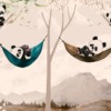 Fototapeta w ciepłych kolorach zachodzącego Słońca Wesołe Misie Panda do pokoju dziecięcego - zdjęcie numer 2