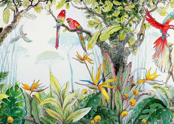 Fototapeta Czerwone Papugi w Dżungli
