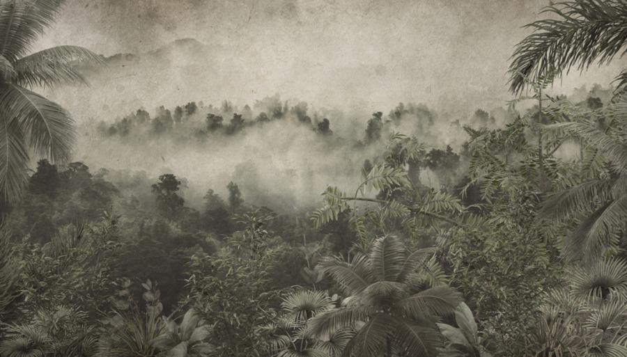 Fototapeta w zieleniach i szarości Opadająca Gęsta Mgła - zdjęcie numer 2