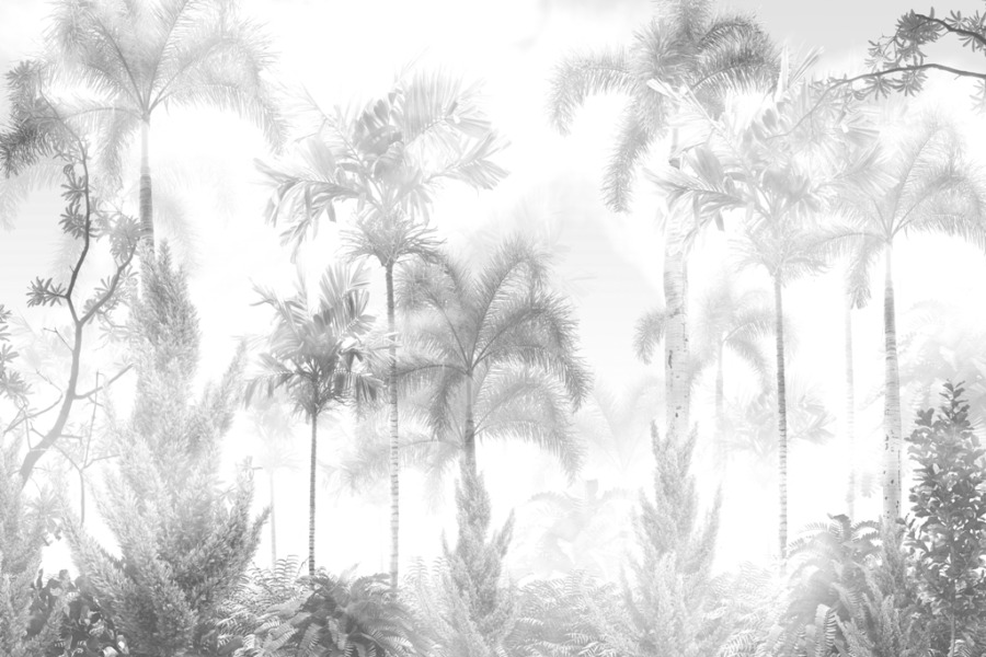 Fototapeta z tropikalną dżunglą we mgle w odcieniach bieli i szarości Zamglone Palmy - zdjęcie numer 2