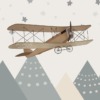 Fototapeta z aeroplanem przemierzającym nocne niebo w ciepłych barwach Dawny Lot w Górach - zdjęcie numer 2