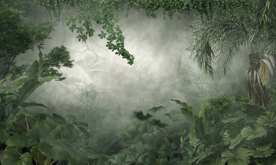 Fototapeta w odcieniach zieleni z tropikalną dżunglą Światło w Zielonym Tunelu - zdjęcie numer 2