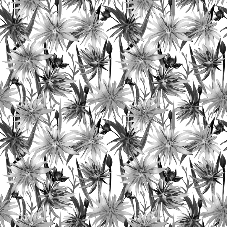 Fototapeta z motywem roślinnym w ciemnych barwach pasująca do nowoczesnego salonu Czarne Kwitnące Kwiaty - zdjęcie numer 2