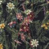 Fototapeta z motywem kolorowych kwiatów na ciemnym tle Ściana Kwiatów Ogrodowych - zdjęcie numer 2