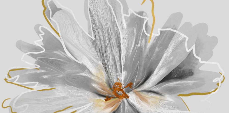 Fototapeta w nowoczesnym stylu i delikatnej tonacji pełnej elegancji Szary Kwiat - zdjęcie numer 2