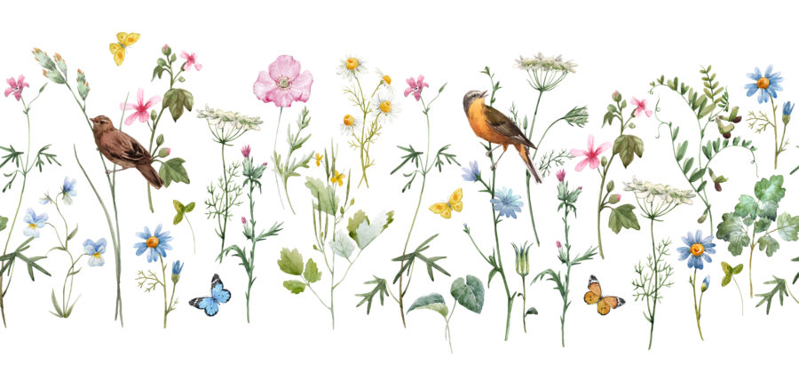 Fototapeta na jasnym tle z ukwieconą łąką Ptaszki w Kwiatach - zdjęcie numer 2