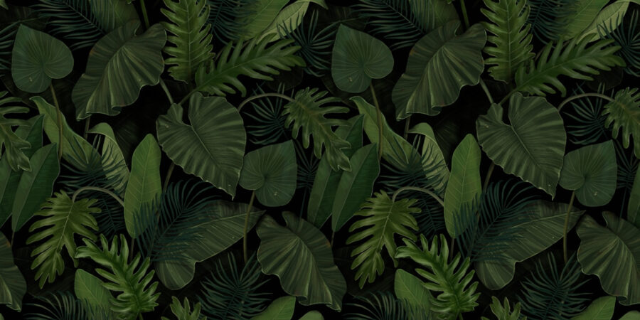 Fototapeta w ciemnych i wyrazistych kolorach z egzotycznymi roślinami idealny dodatek do nowoczesnego salonu Zielone Liście - zdjęcie numer 2