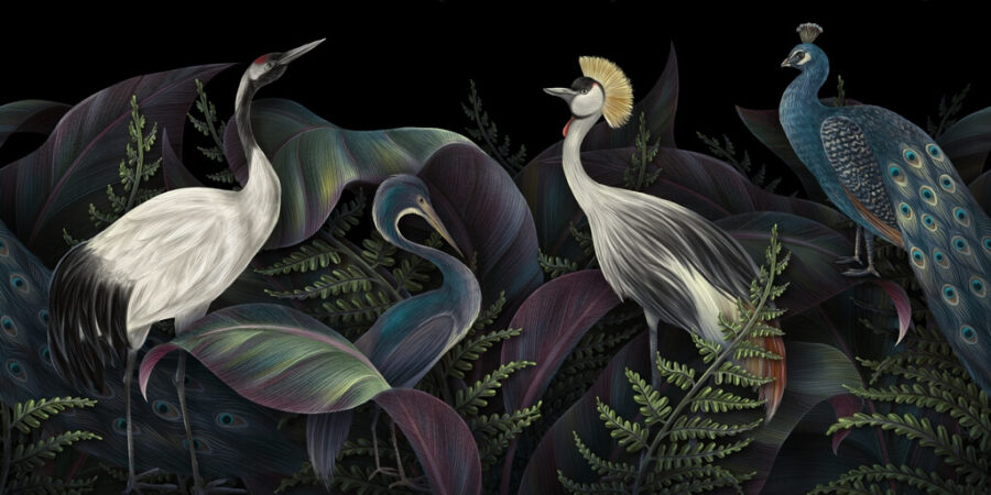 Fototapeta w ciemnej tonacji z egzotycznymi zwierzętami Dostojne Ptaki - zdjęcie numer 2