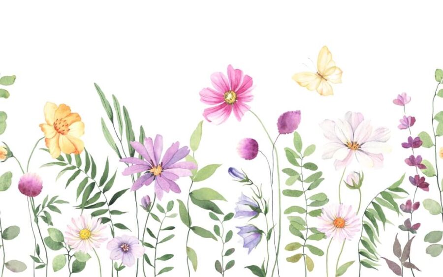 Fototapeta z delikatnymi dzikimi kwiatami i motylami na jasnym tle Kwiaty Na Łące - zdjęcie numer 2