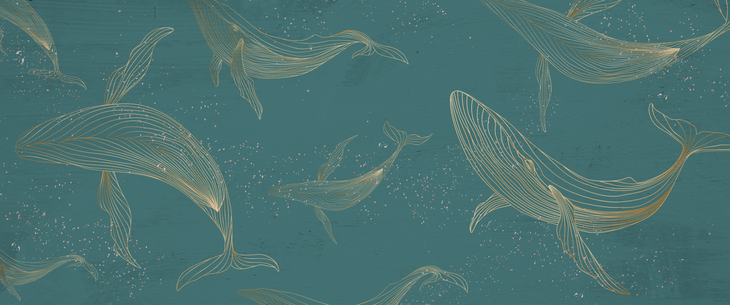 2392176777-scaled