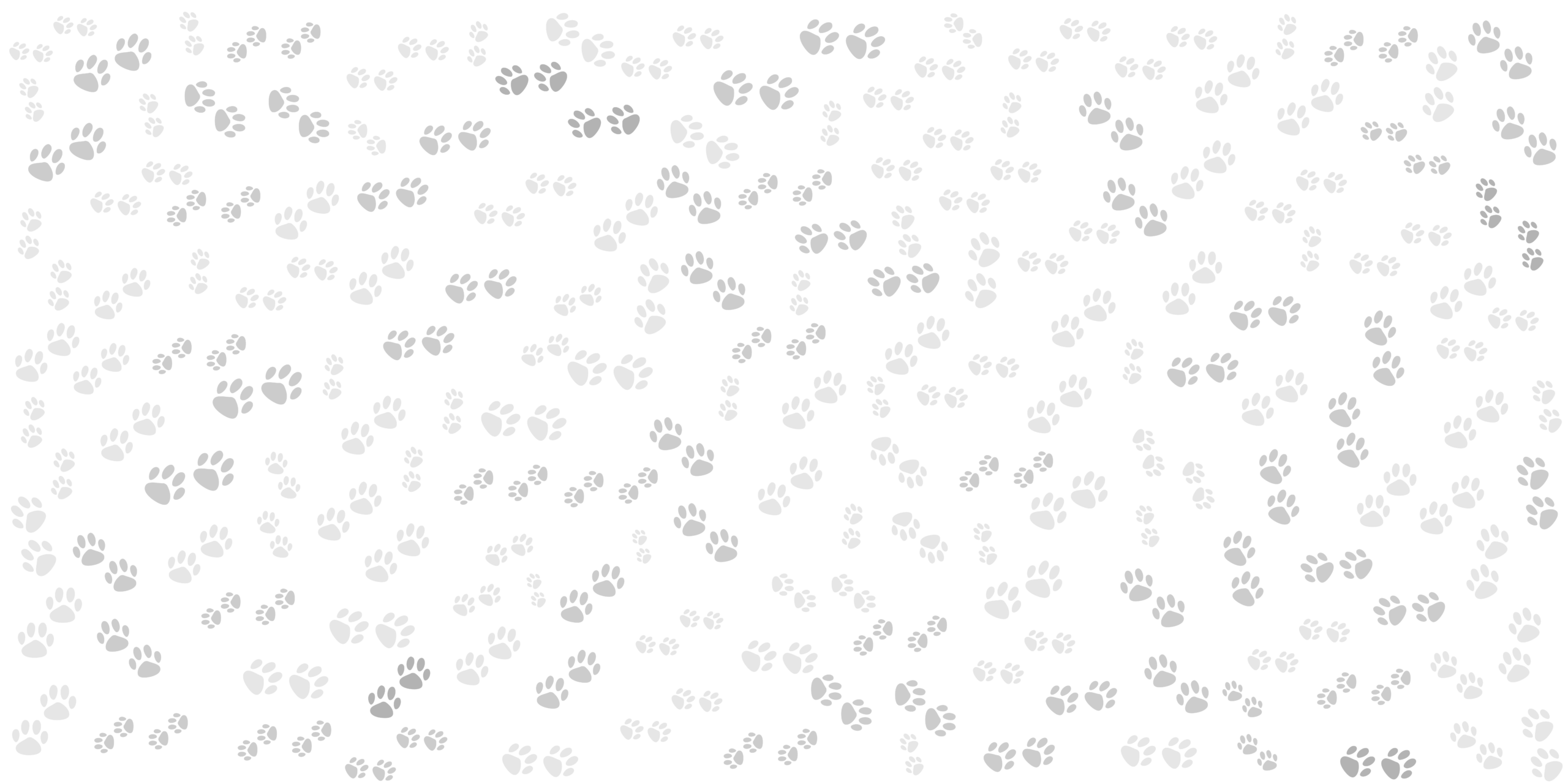 2464523389-scaled