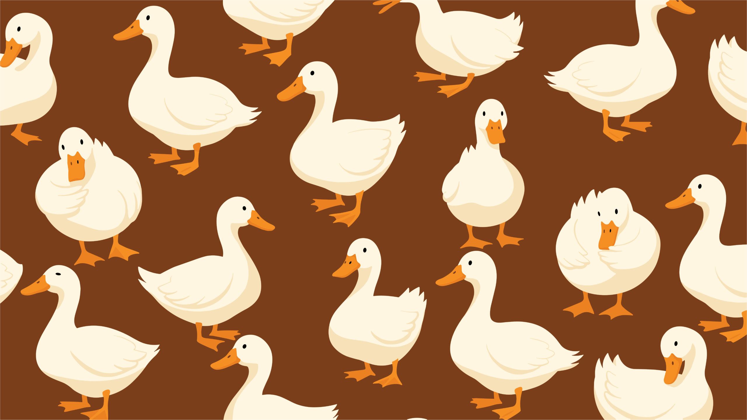 2729165249-scaled