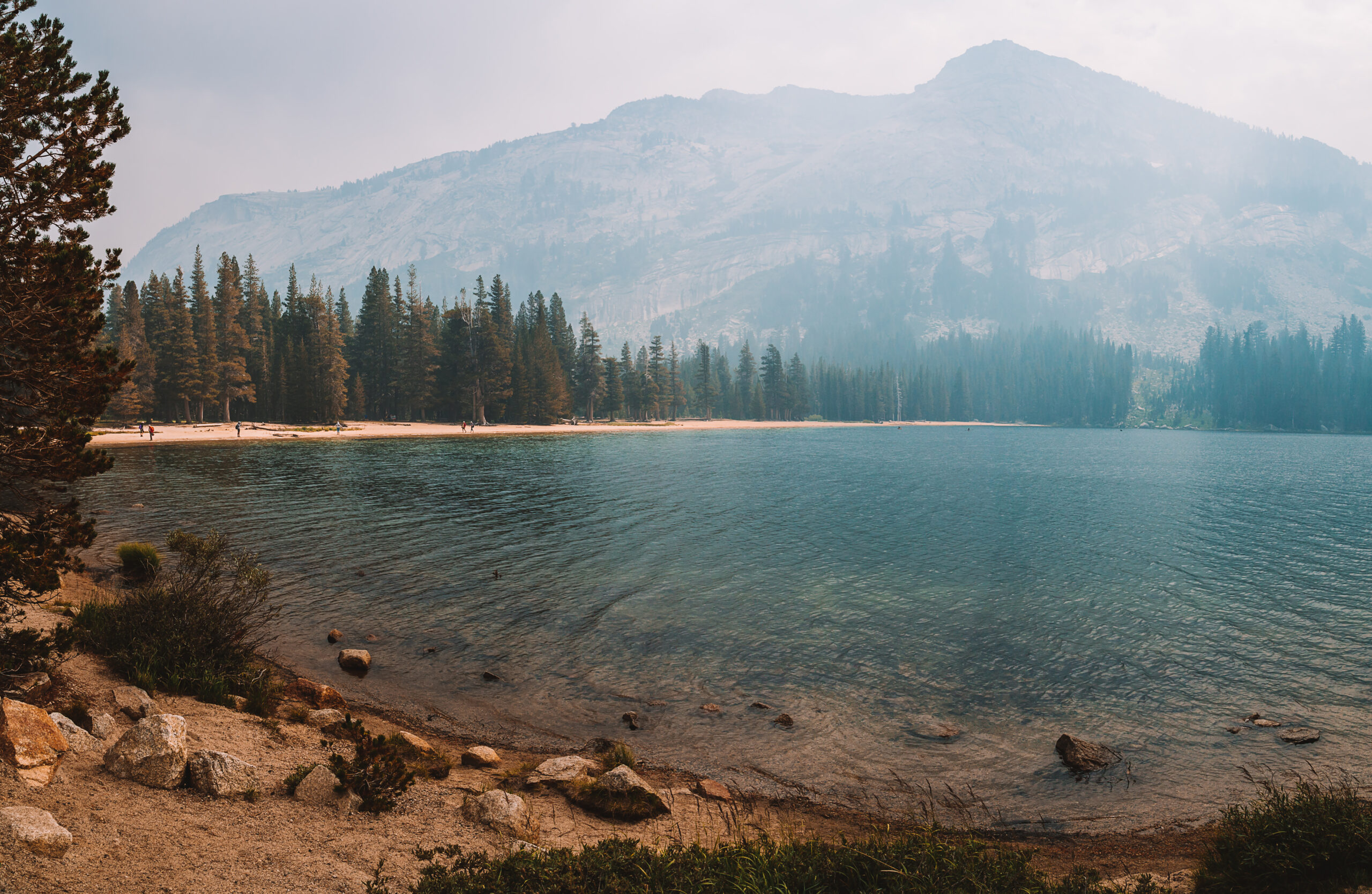 Beautiful shot of a calm lake in Yosemite National Park in California, USA with a misty background