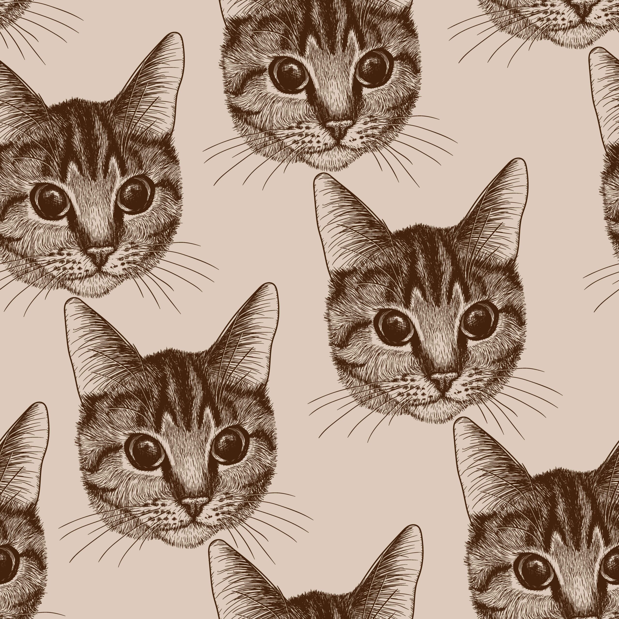 357890614-scaled