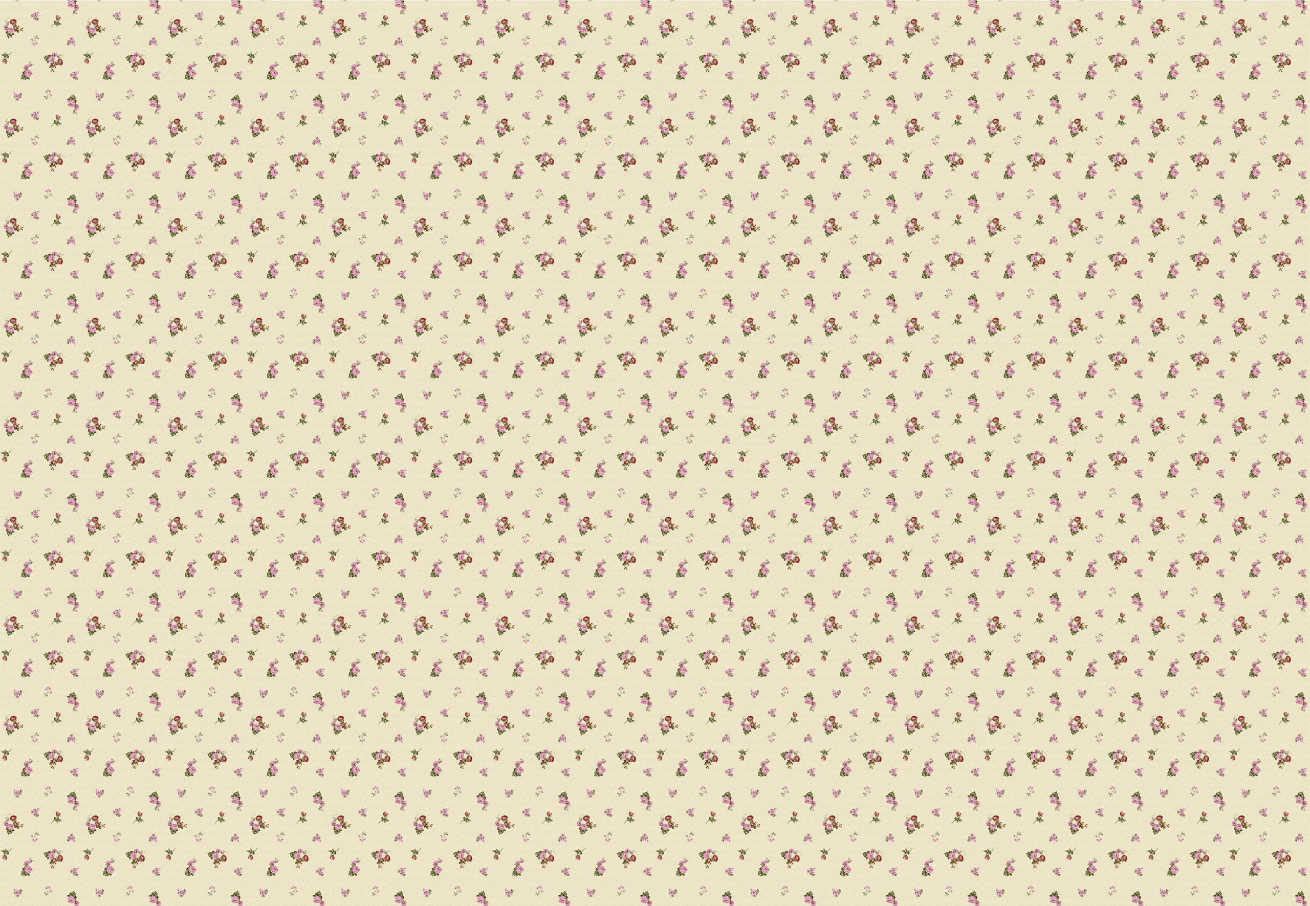 67999155191-ZMNIEJSZONE-scaled