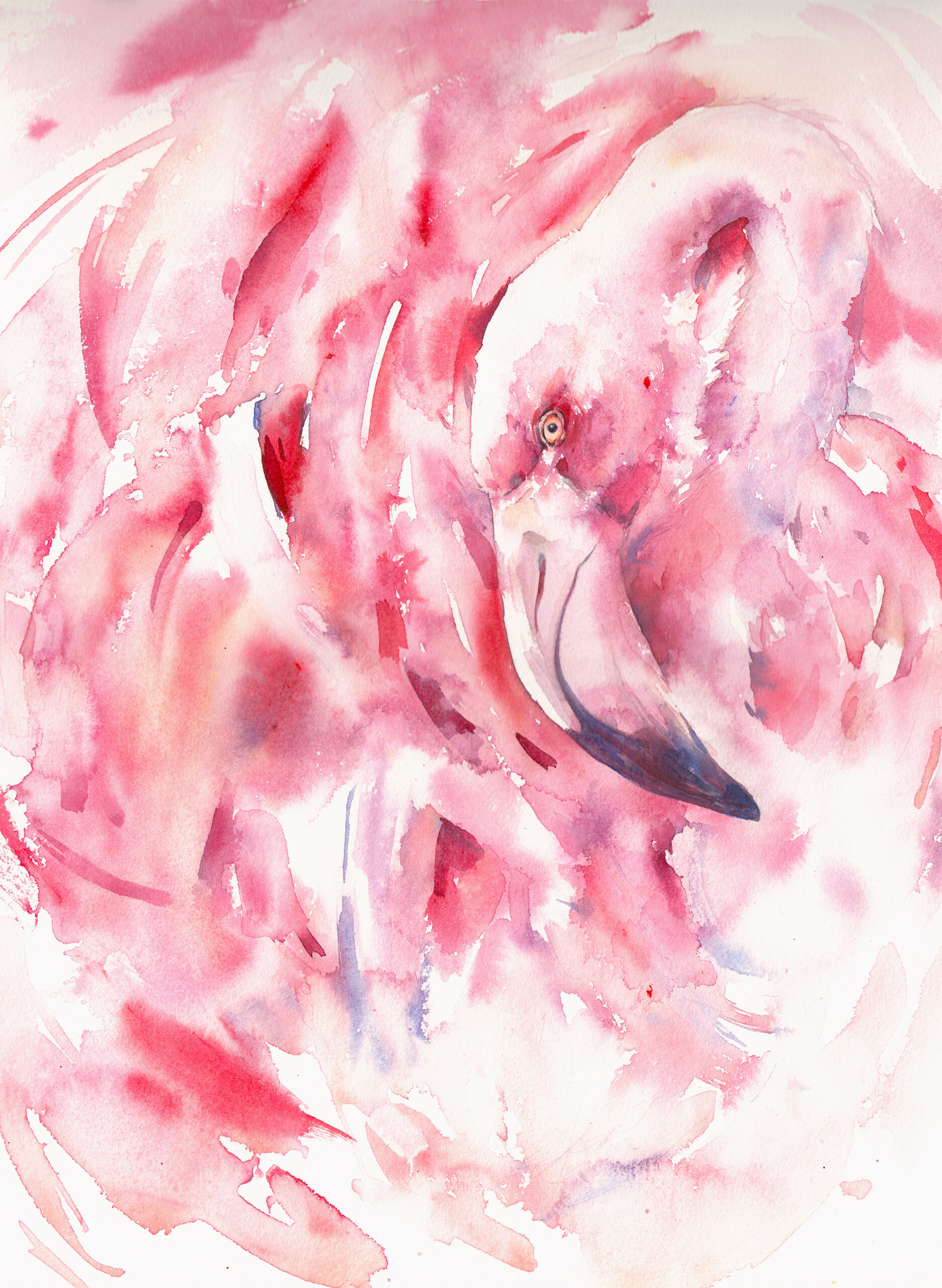 Watercolor flamingo poster. Exotic pink bird portrait. Abstract