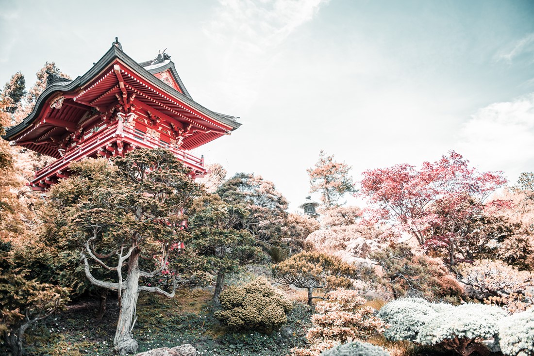 Japanese Tea Garden in the Golden Gate Park, San Francisco. California. USA