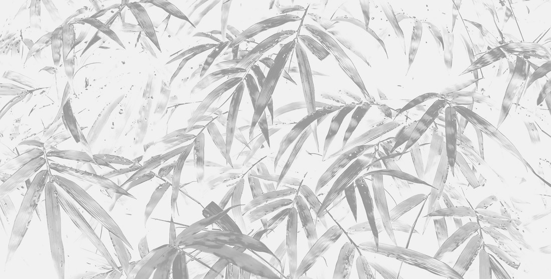 Bamboo,Leaves,Pattern,On,The,Branches,In,Tropical,Forest,With