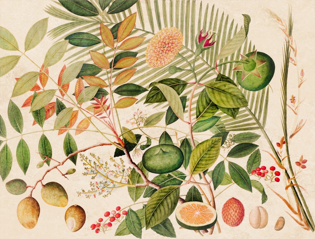 Exquisite,Asian,Fruit,Illustration:,A,Vibrant,Composition,Showcasing,Exotic,Asian