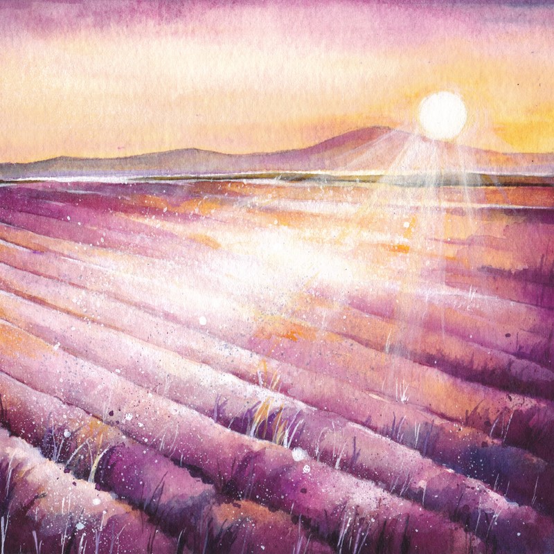 Watercolor,Lavender,Field,Landscape.,Summer,In,Provence.,Hand,Painted,Countryside