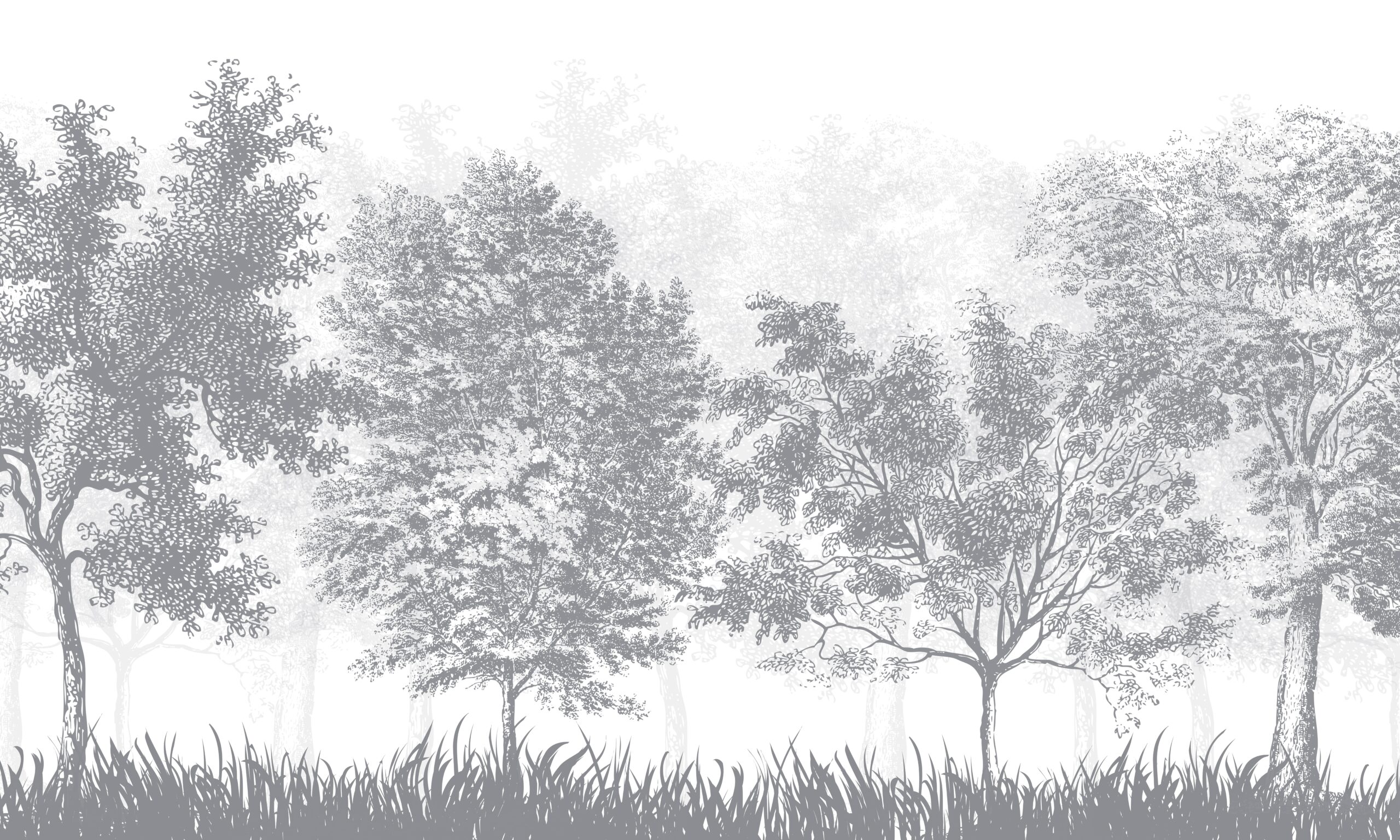 Monochromatic,Forest,Landscape,Wallpaper:,Gray,Trees,Woodland,Scene