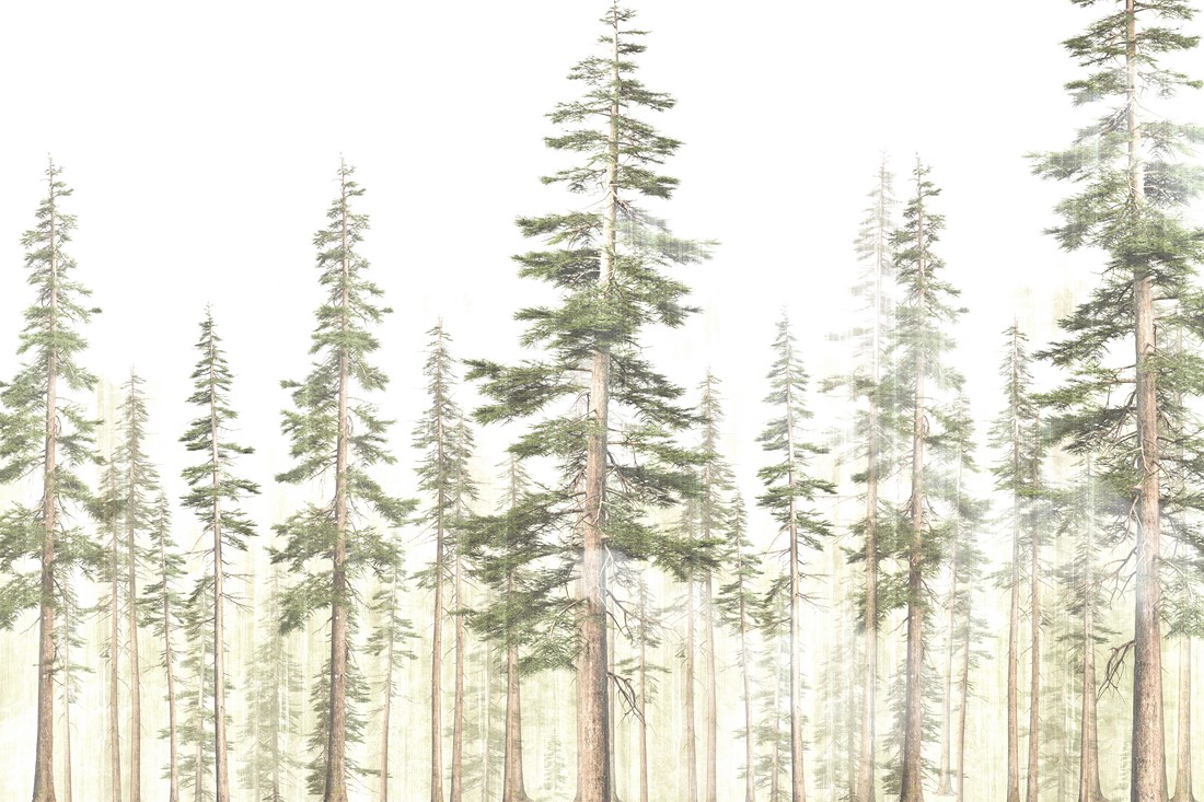 Tropical,Forest,Landscape,,,Trees,And,Leaves,Wallpaper,,,3d