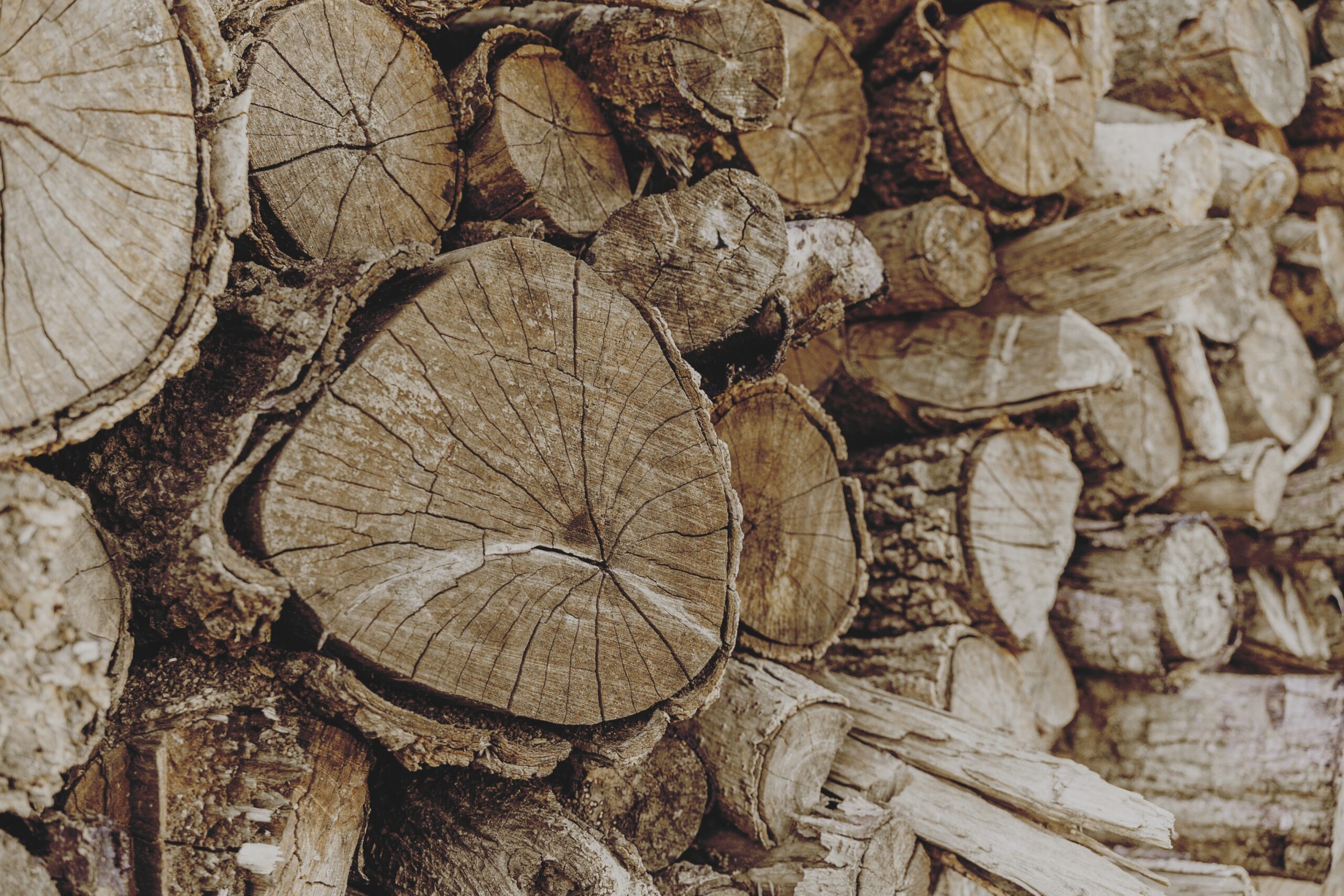 Closeup,Old,Dry,Wood,Log,Cut,Pile,Stacked,Timber,For