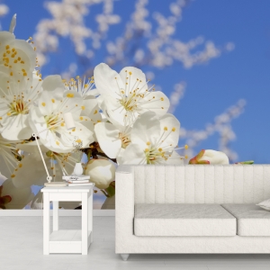 shutterstock_6653023
